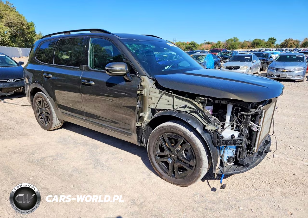 2024 Kia Telluride Sx-Prestige X-Line VIN:5XYP5DGC4RG536819 - 4