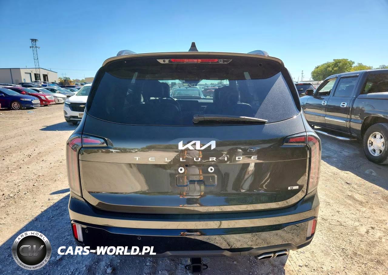 2024 Kia Telluride Sx-Prestige X-Line VIN:5XYP5DGC4RG536819 - 6