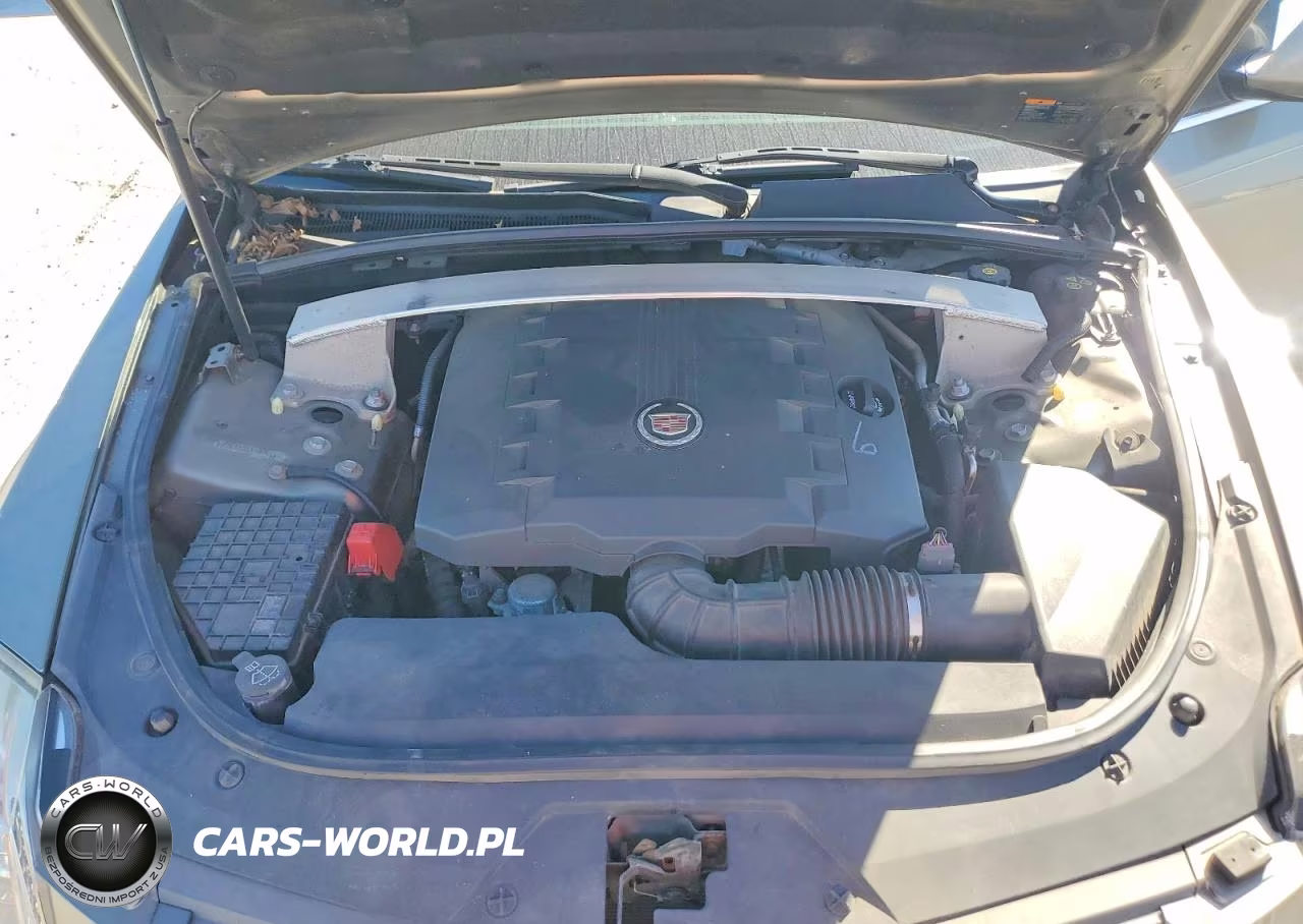 2010 Cadillac Cts Luxury Collection VIN:1G6DE5EG5A0148932 - 11