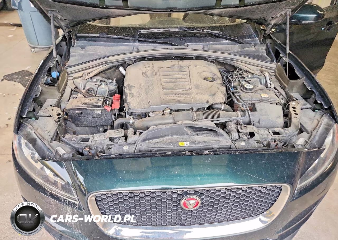 2018 Jaguar F-Pace Premium VIN:SADCJ2FX8JA295276 - 12