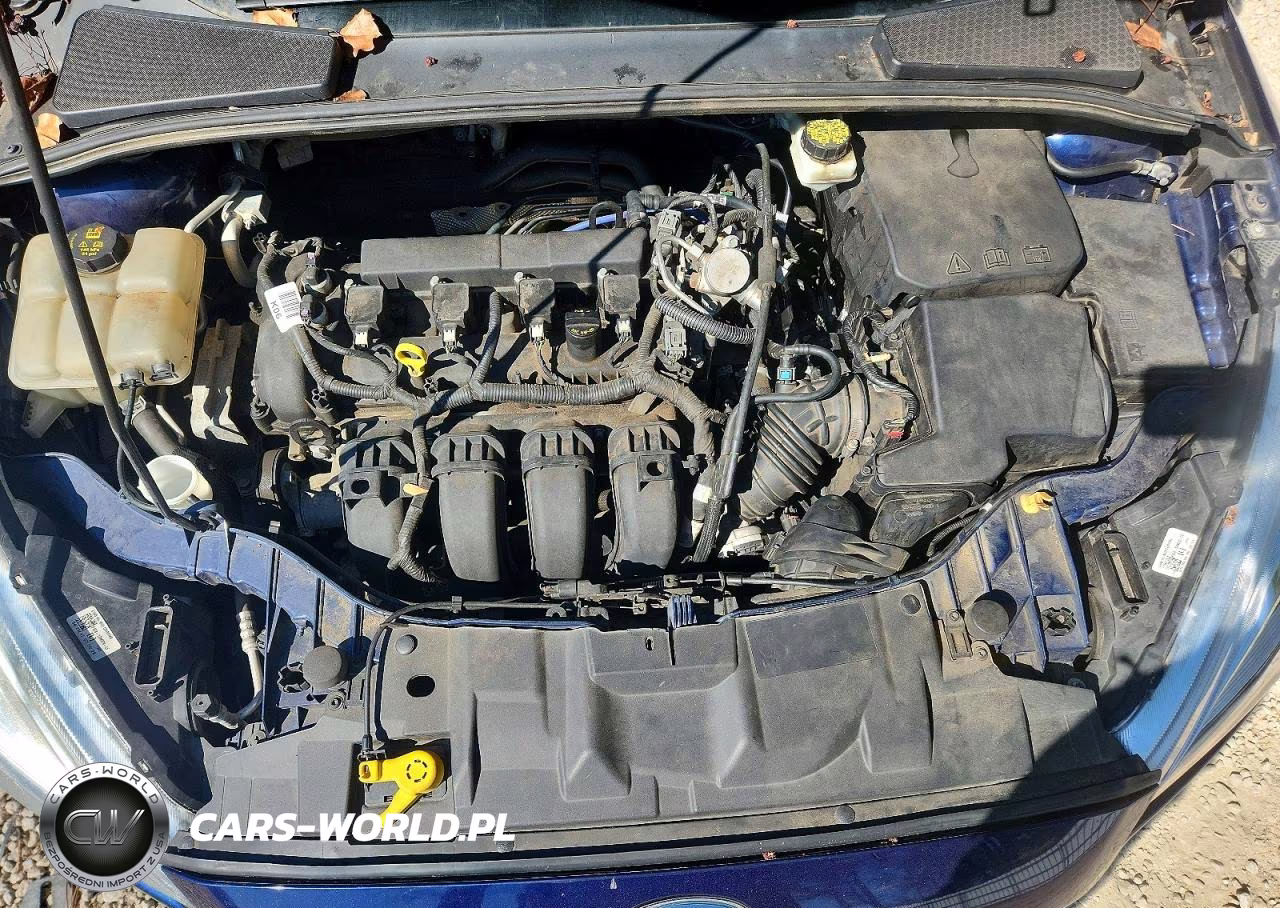 2017 Ford Focus Titanium VIN:1FADP3N23HL279579 - 11