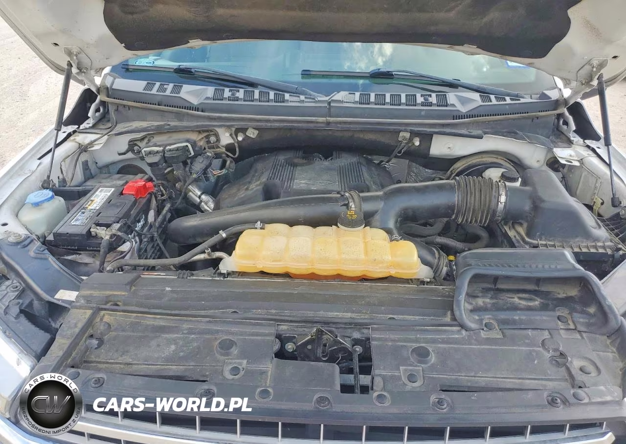 2019 Ford F150 Supercrew VIN:1FTEW1C46KKC09579 - 11