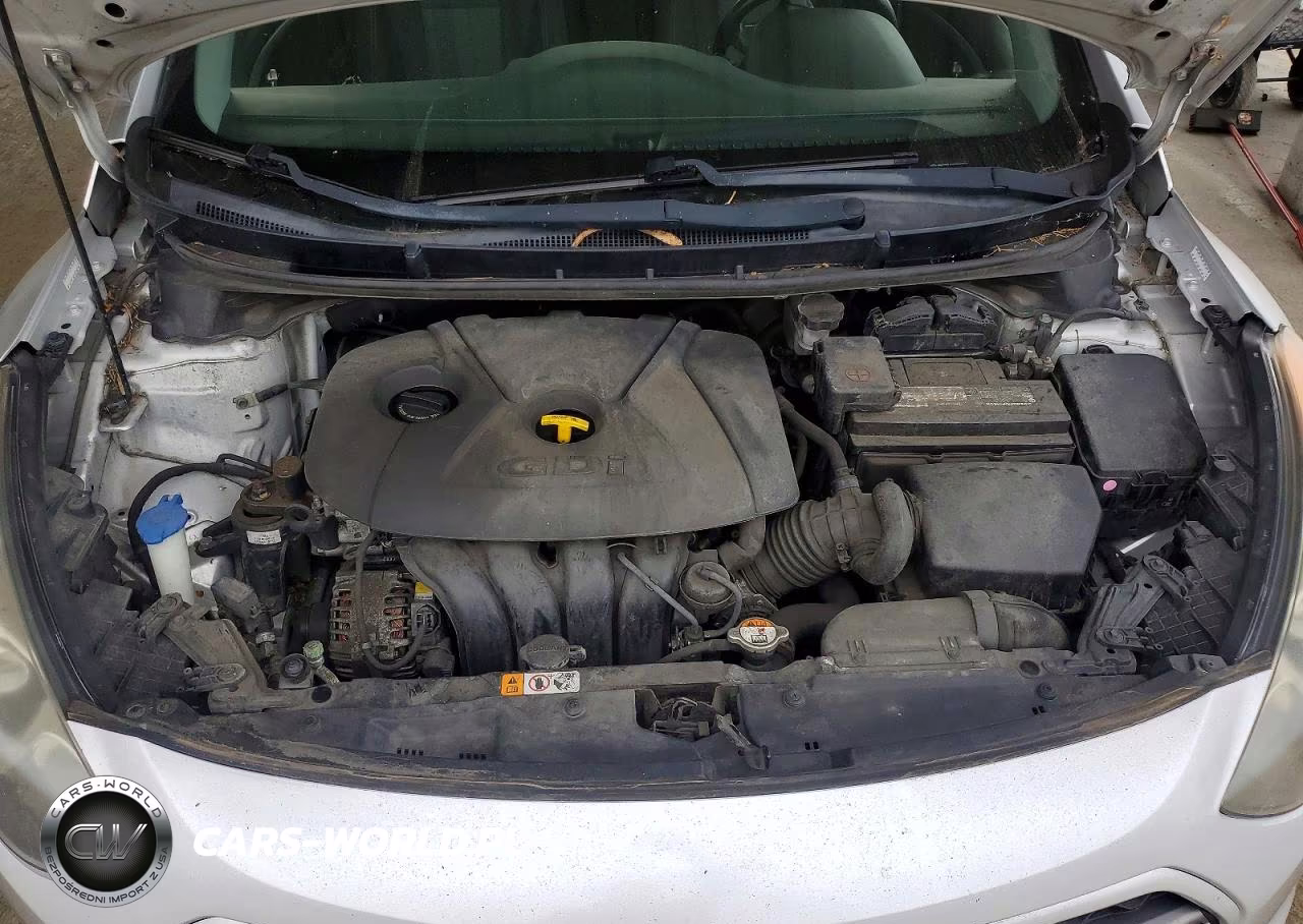 2016 Hyundai Elantra Gt Base VIN:KMHD35LH4GU260892 - 11