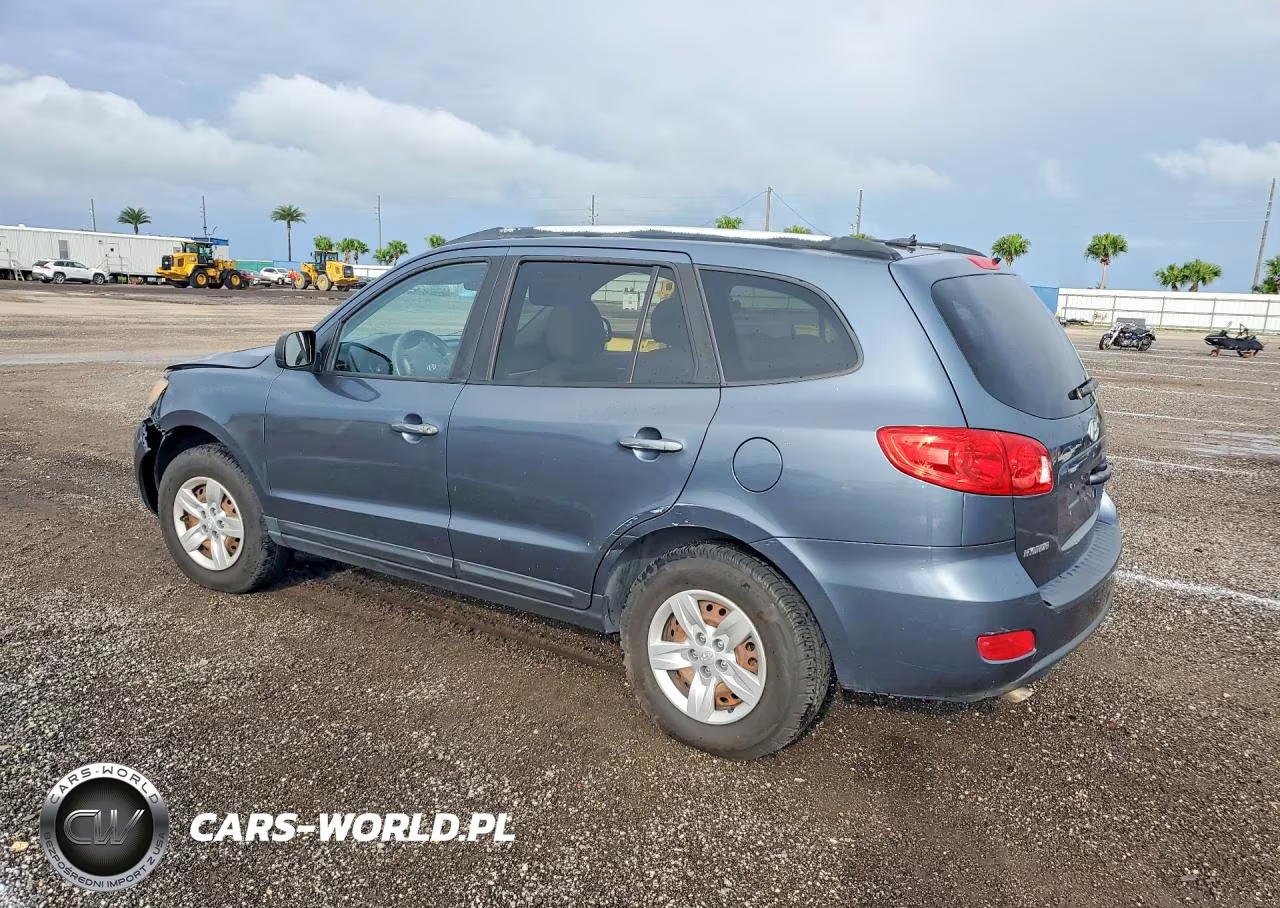 2009 Hyundai Santa Fe Gls VIN:5NMSG13D09H231132 - 2