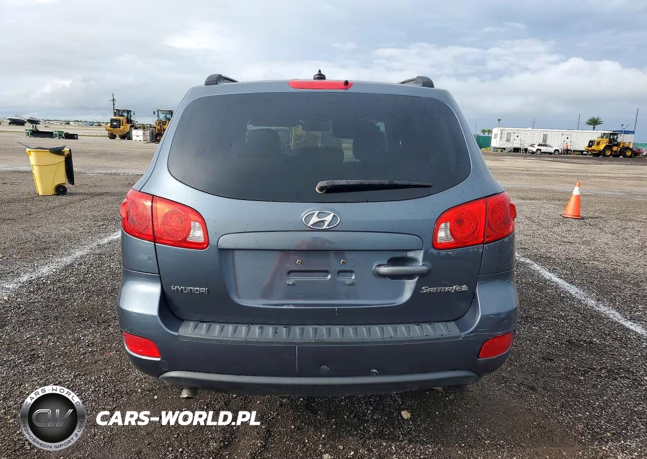 2009 Hyundai Santa Fe Gls VIN:5NMSG13D09H231132 - 6