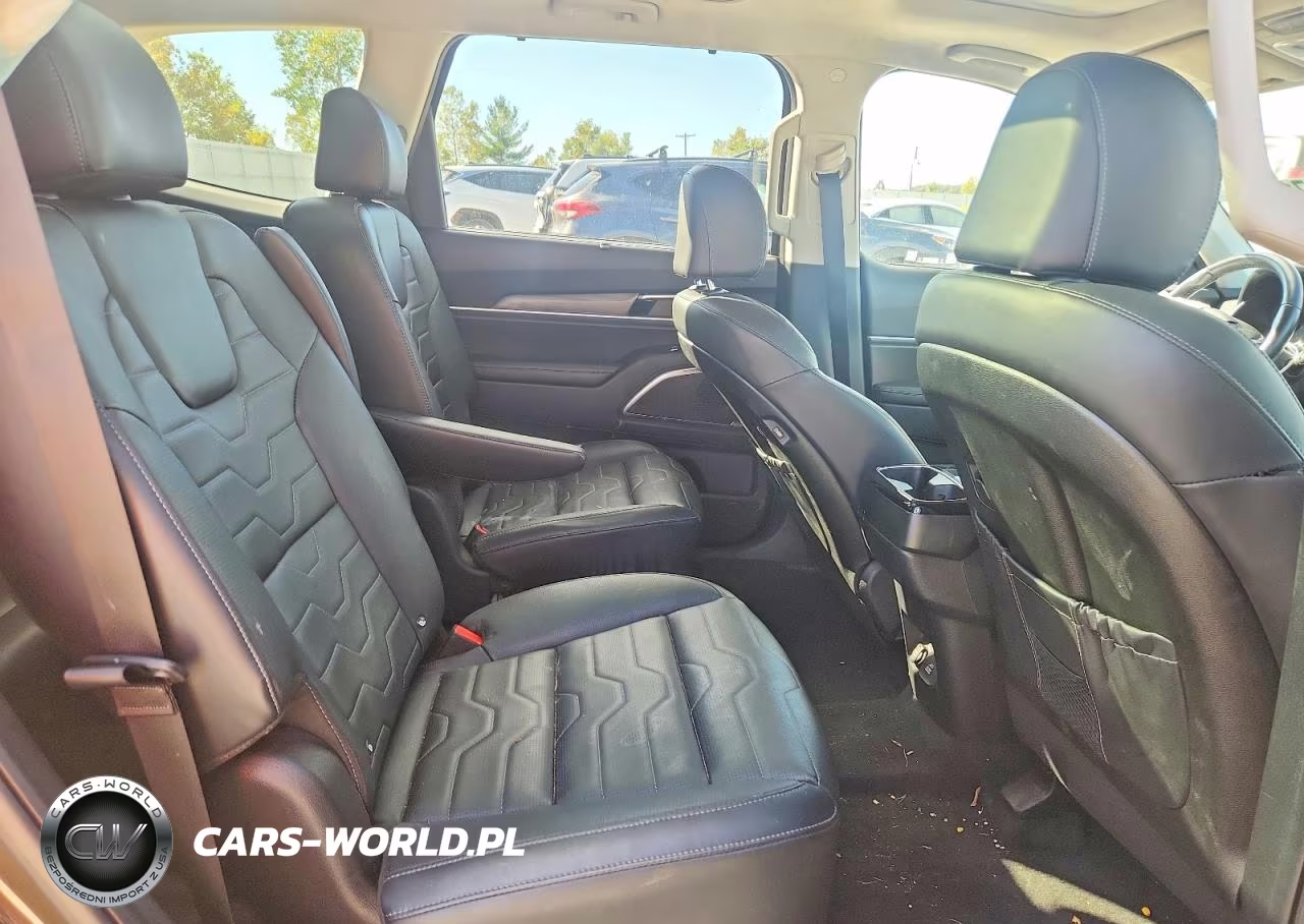 2022 Kia Telluride Sx VIN:5XYP5DHC4NG289584 - 11