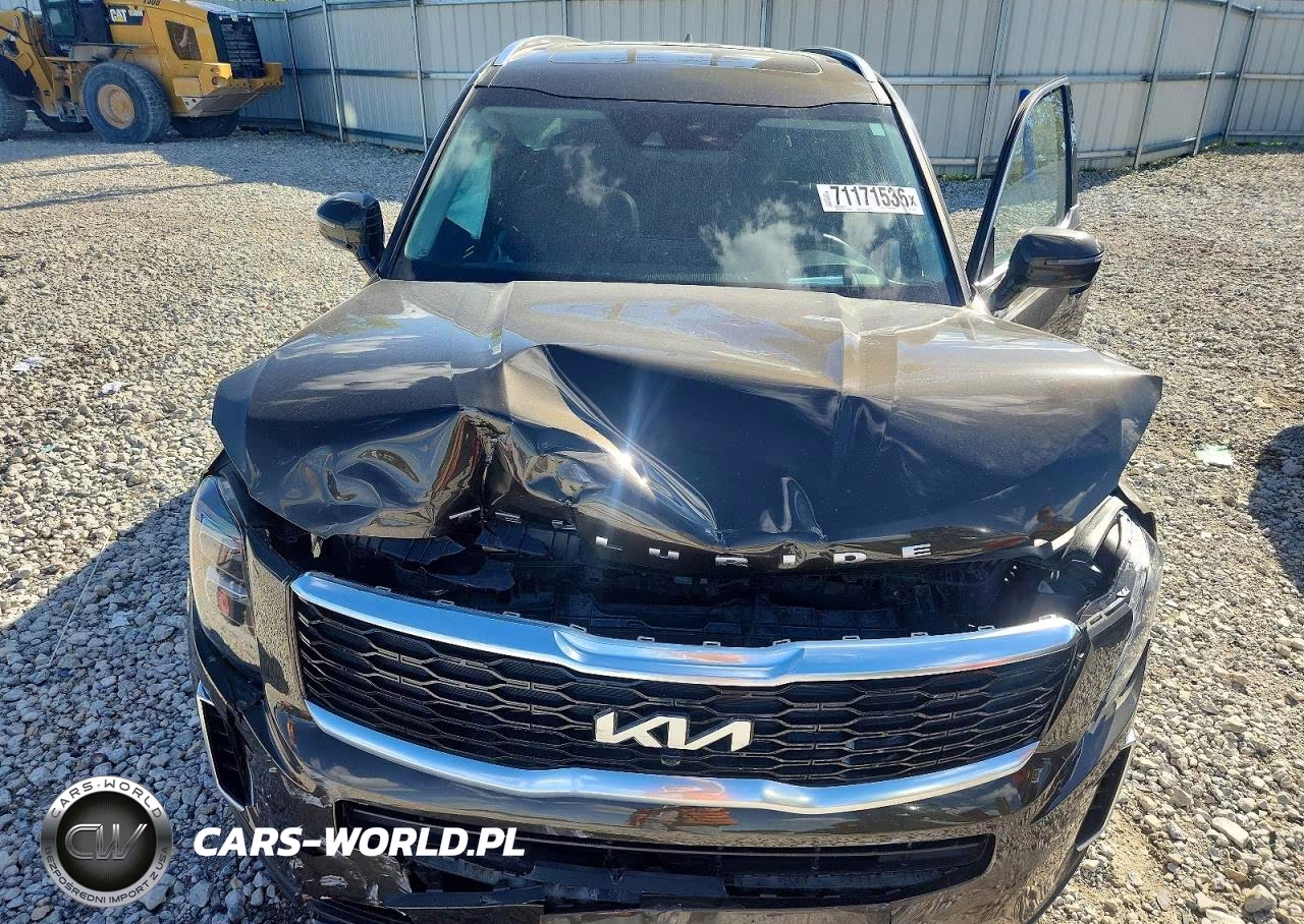 2022 Kia Telluride Sx VIN:5XYP5DHC4NG289584 - 12