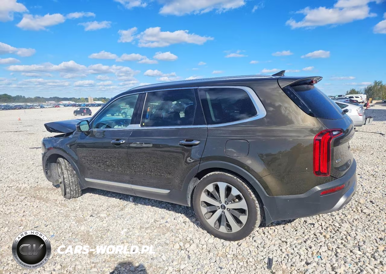 2022 Kia Telluride Sx VIN:5XYP5DHC4NG289584 - 2