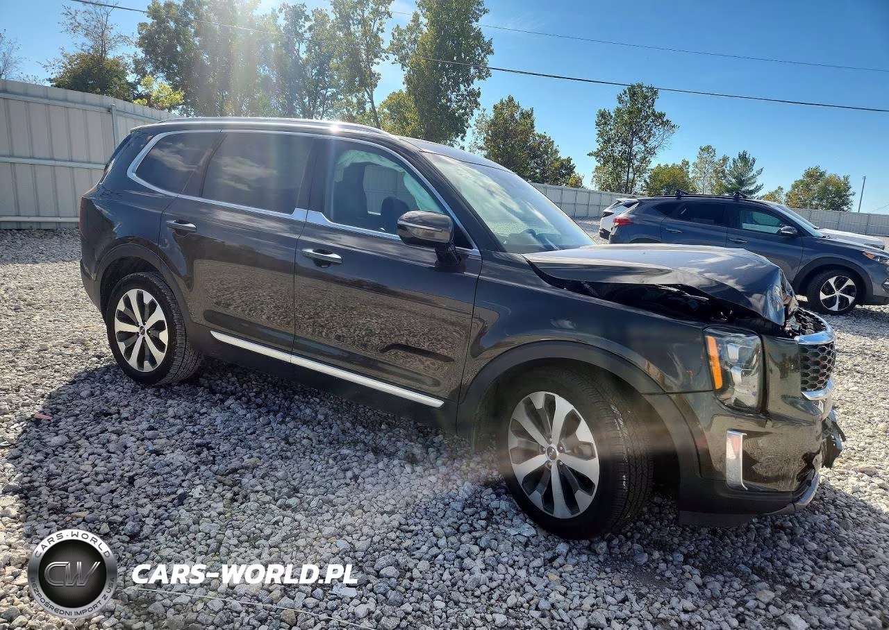 2022 Kia Telluride Sx VIN:5XYP5DHC4NG289584 - 4
