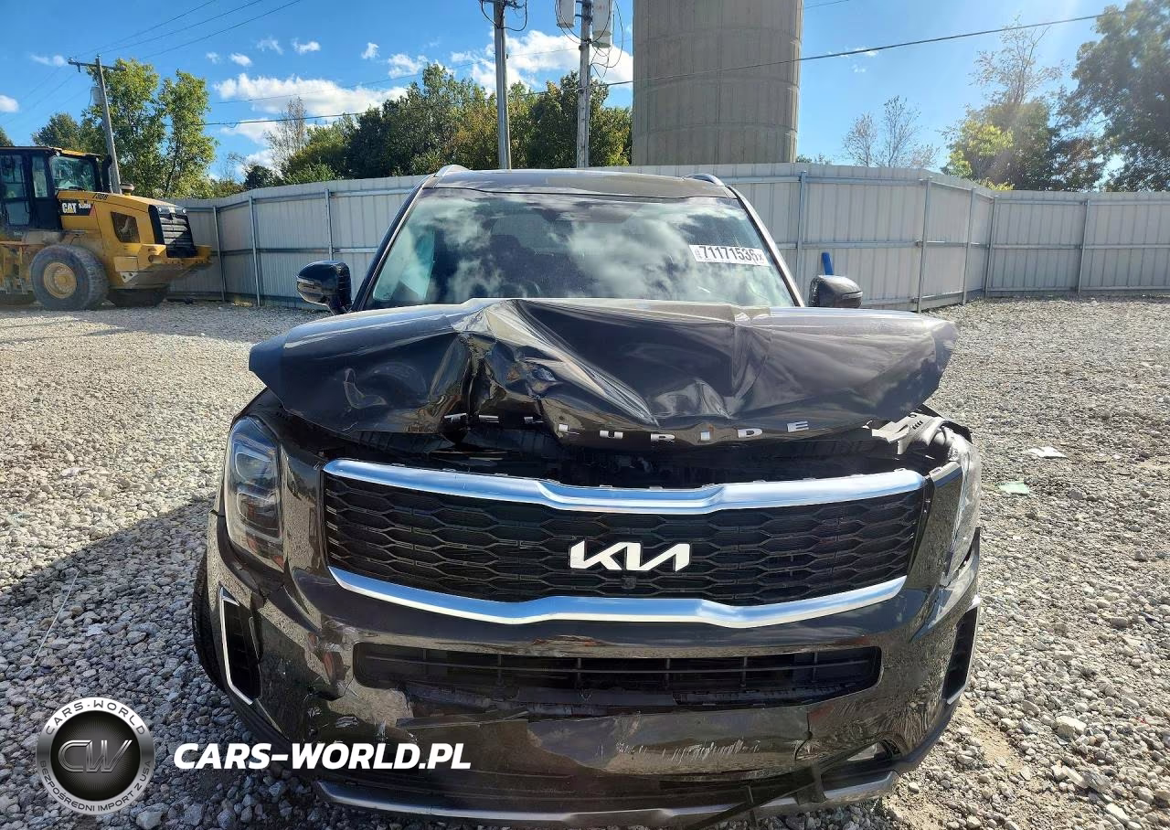 2022 Kia Telluride Sx VIN:5XYP5DHC4NG289584 - 5