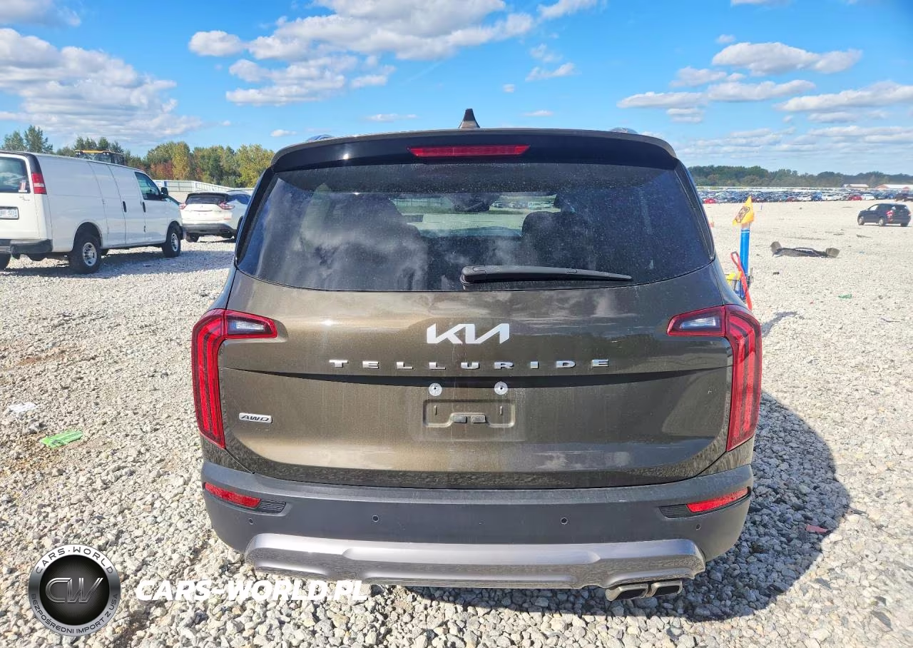 2022 Kia Telluride Sx VIN:5XYP5DHC4NG289584 - 6
