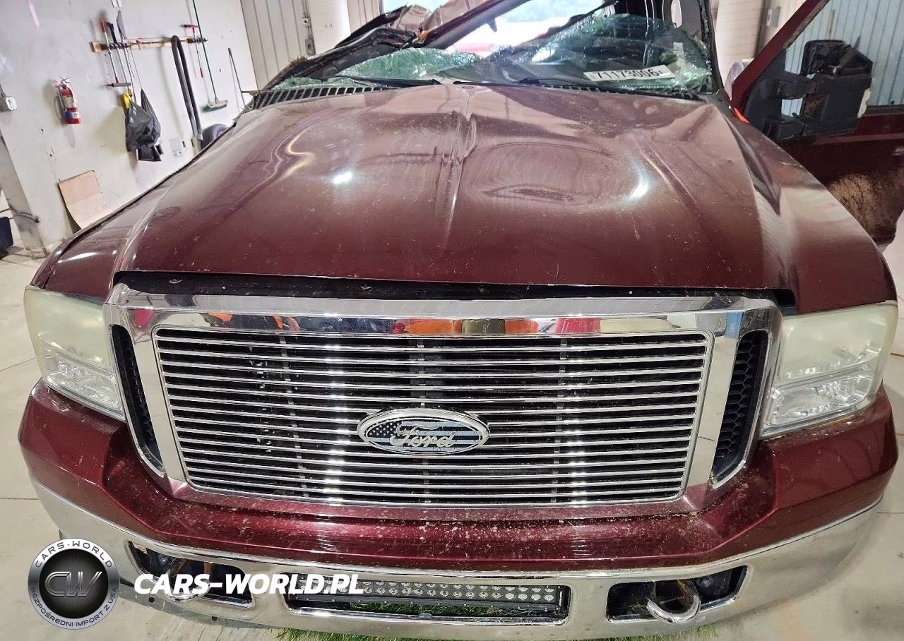 2006 Ford F250 Super Duty VIN:1FTSW21P66EC76113 - 11