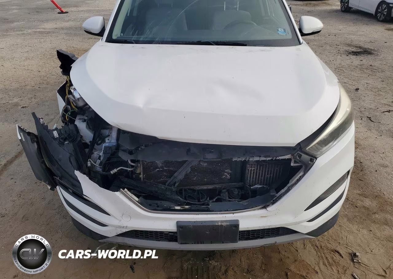 2017 Hyundai Tucson Eco VIN:KM8J3CA20HU507980 - 12