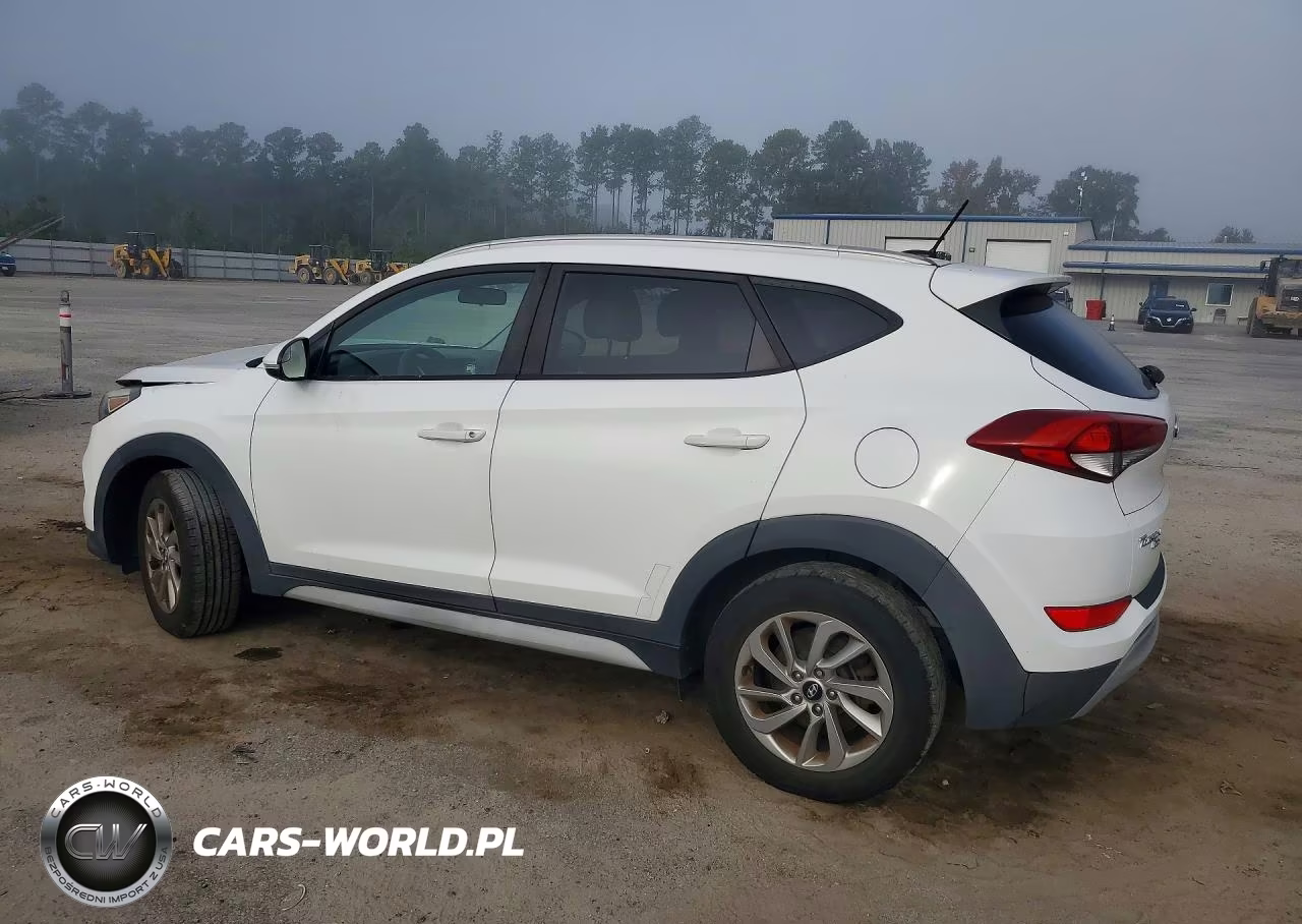 2017 Hyundai Tucson Eco VIN:KM8J3CA20HU507980 - 2