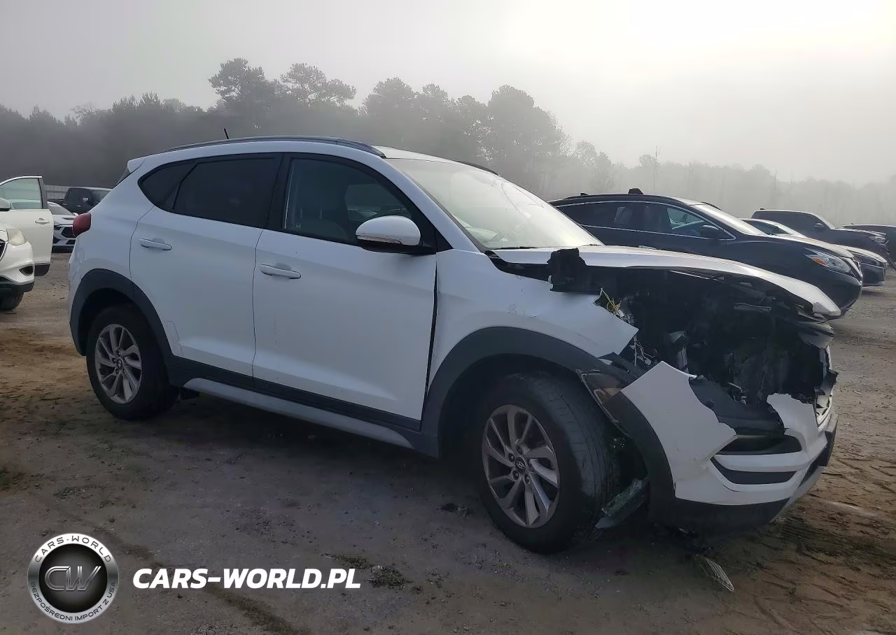 2017 Hyundai Tucson Eco VIN:KM8J3CA20HU507980 - 4