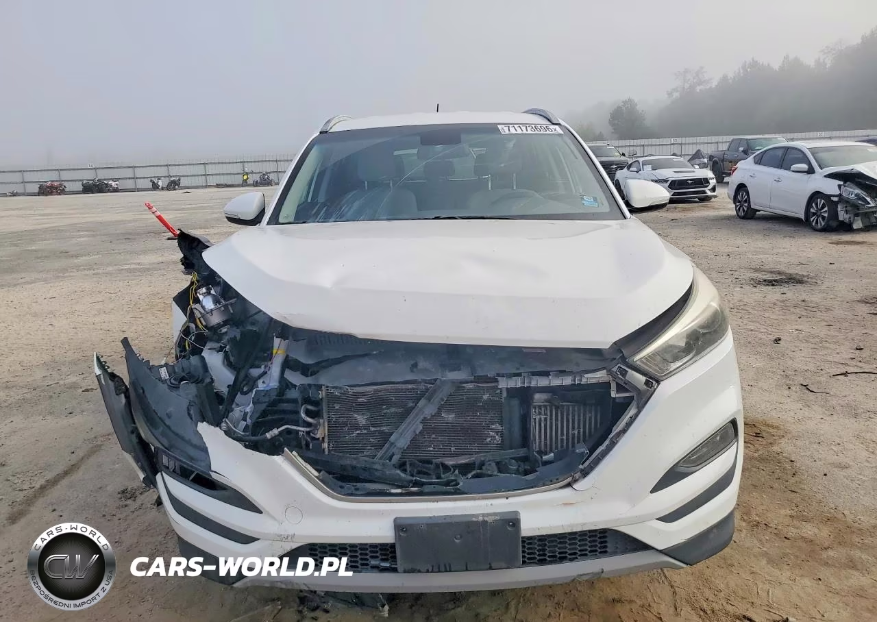 2017 Hyundai Tucson Eco VIN:KM8J3CA20HU507980 - 5