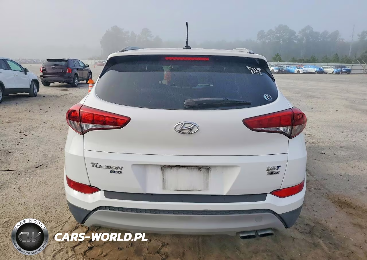 2017 Hyundai Tucson Eco VIN:KM8J3CA20HU507980 - 6