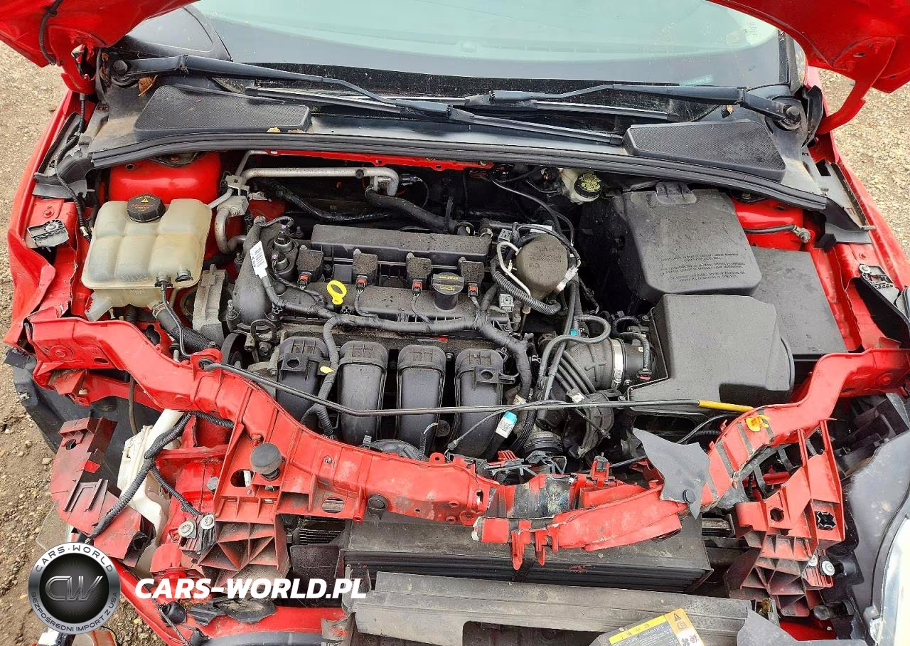 2013 Ford Focus Se VIN:1FADP3K24DL303466 - 11