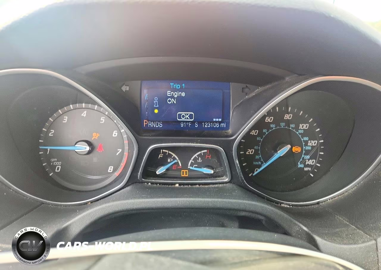 2013 Ford Focus Se VIN:1FADP3K24DL303466 - 9
