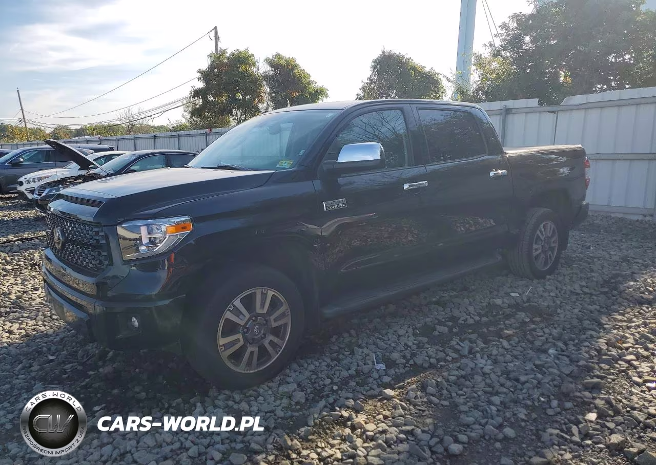 2019 Toyota Tundra Platinum VIN:5TFAY5F1XKX795353 - 1