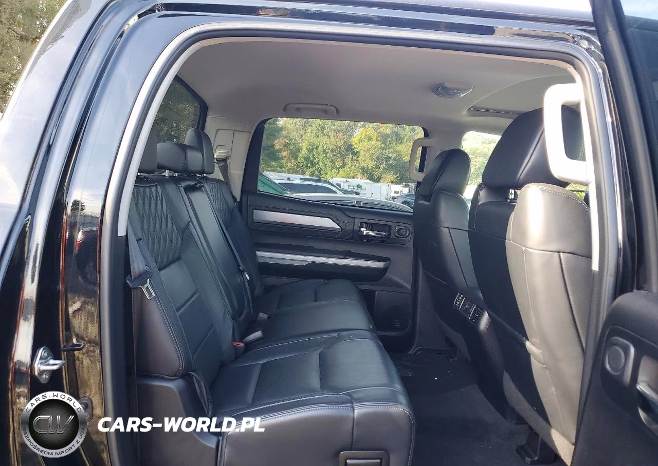 2019 Toyota Tundra Platinum VIN:5TFAY5F1XKX795353 - 10