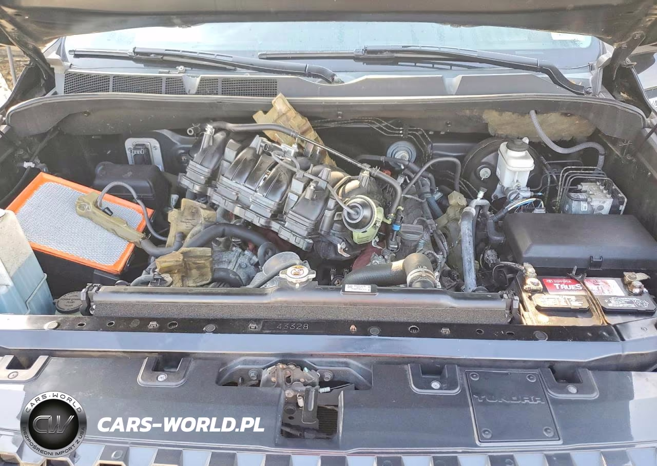 2019 Toyota Tundra Platinum VIN:5TFAY5F1XKX795353 - 11