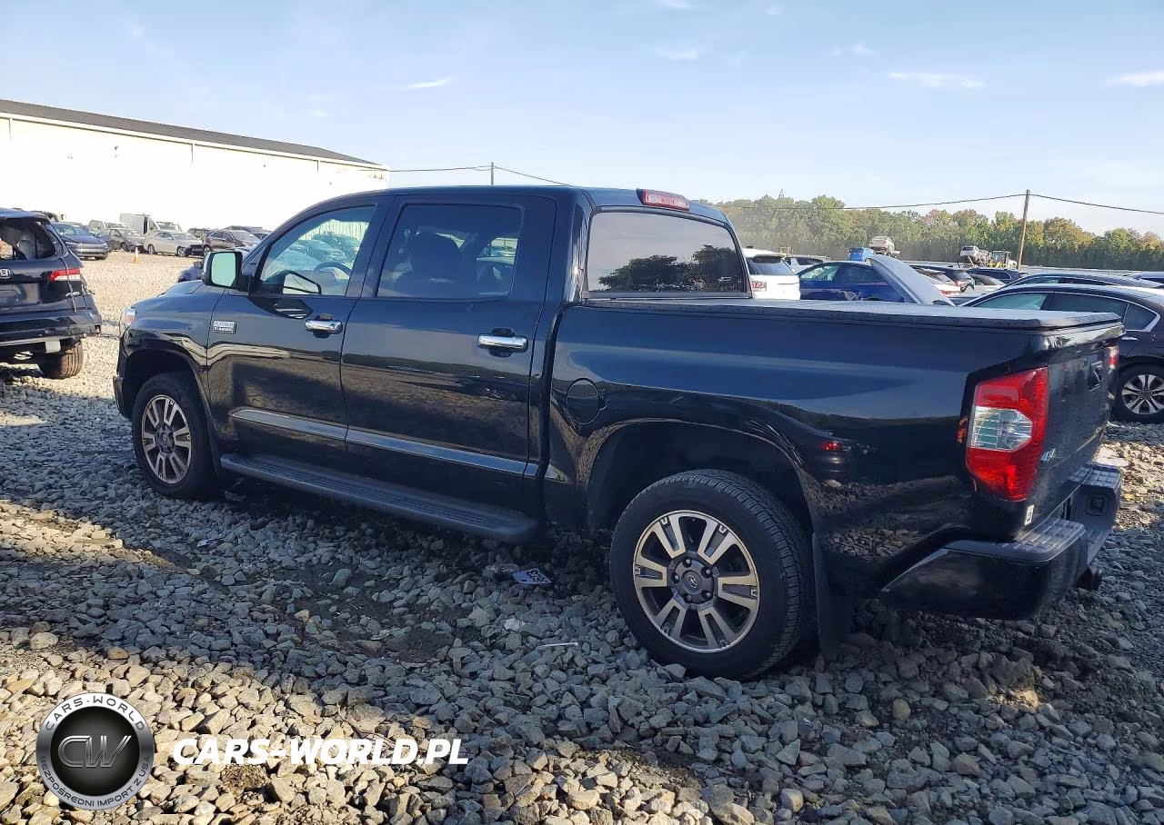 2019 Toyota Tundra Platinum VIN:5TFAY5F1XKX795353 - 2