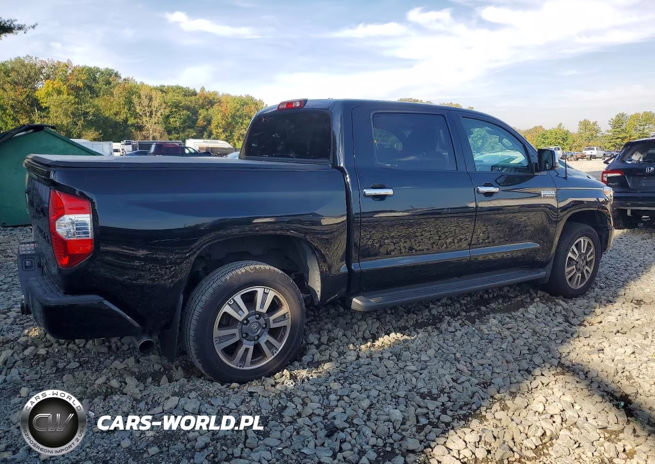 2019 Toyota Tundra Platinum VIN:5TFAY5F1XKX795353 - 3