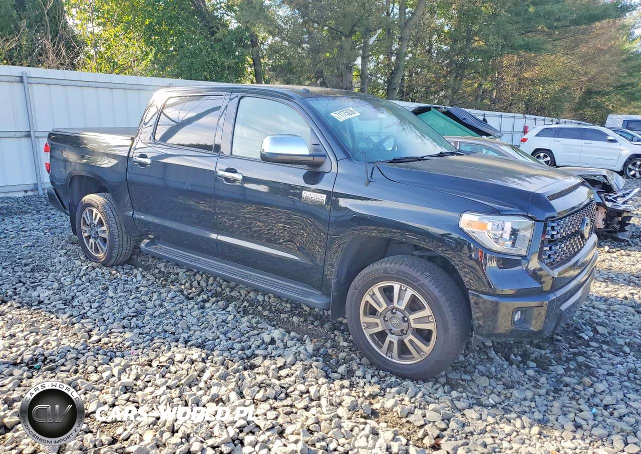 2019 Toyota Tundra Platinum VIN:5TFAY5F1XKX795353 - 4