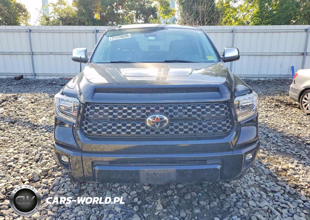 2019 Toyota Tundra Platinum VIN:5TFAY5F1XKX795353 - 5