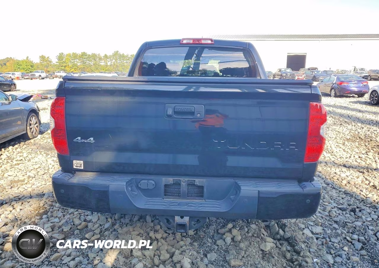 2019 Toyota Tundra Platinum VIN:5TFAY5F1XKX795353 - 6