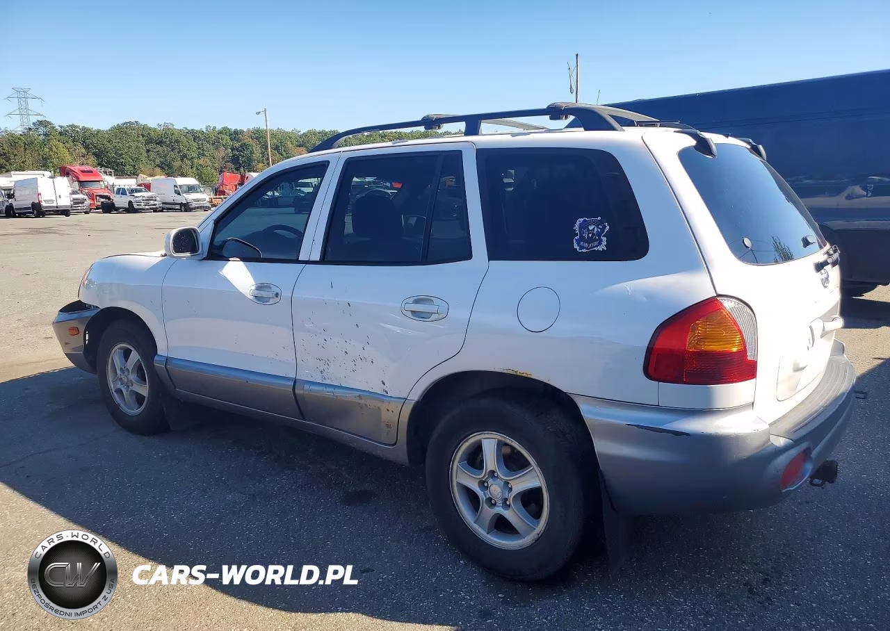 2004 Hyundai Santa Fe Gl VIN:KM8SB12B44U831289 - 2