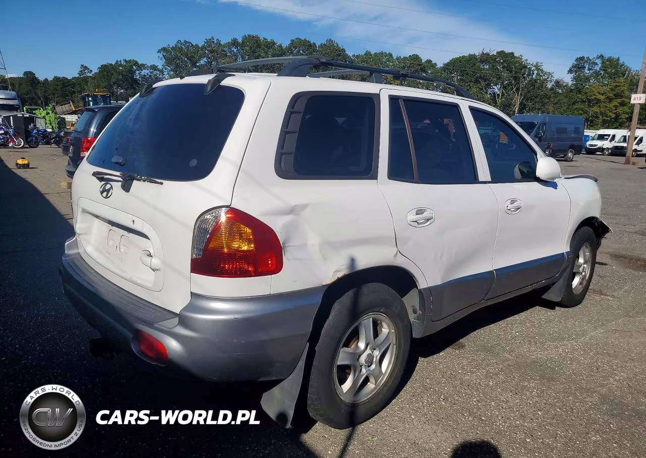 2004 Hyundai Santa Fe Gl VIN:KM8SB12B44U831289 - 3