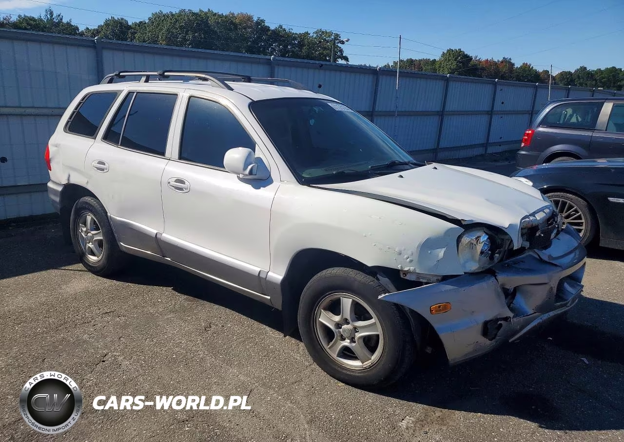 2004 Hyundai Santa Fe Gl VIN:KM8SB12B44U831289 - 4