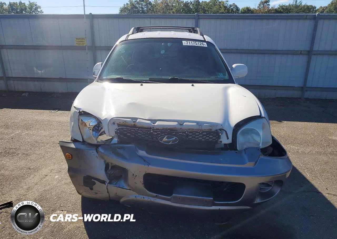 2004 Hyundai Santa Fe Gl VIN:KM8SB12B44U831289 - 5