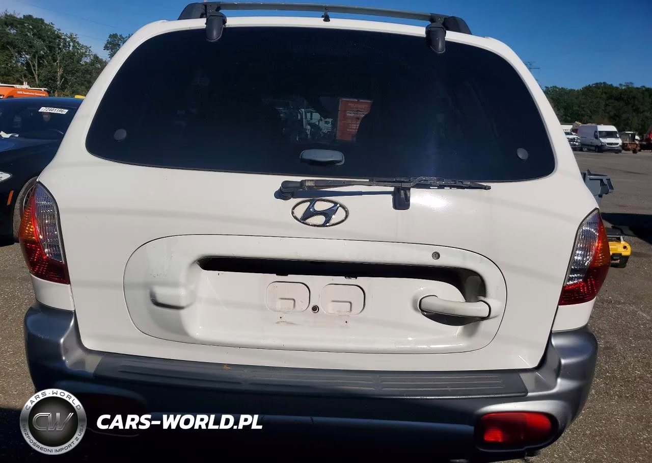 2004 Hyundai Santa Fe Gl VIN:KM8SB12B44U831289 - 6