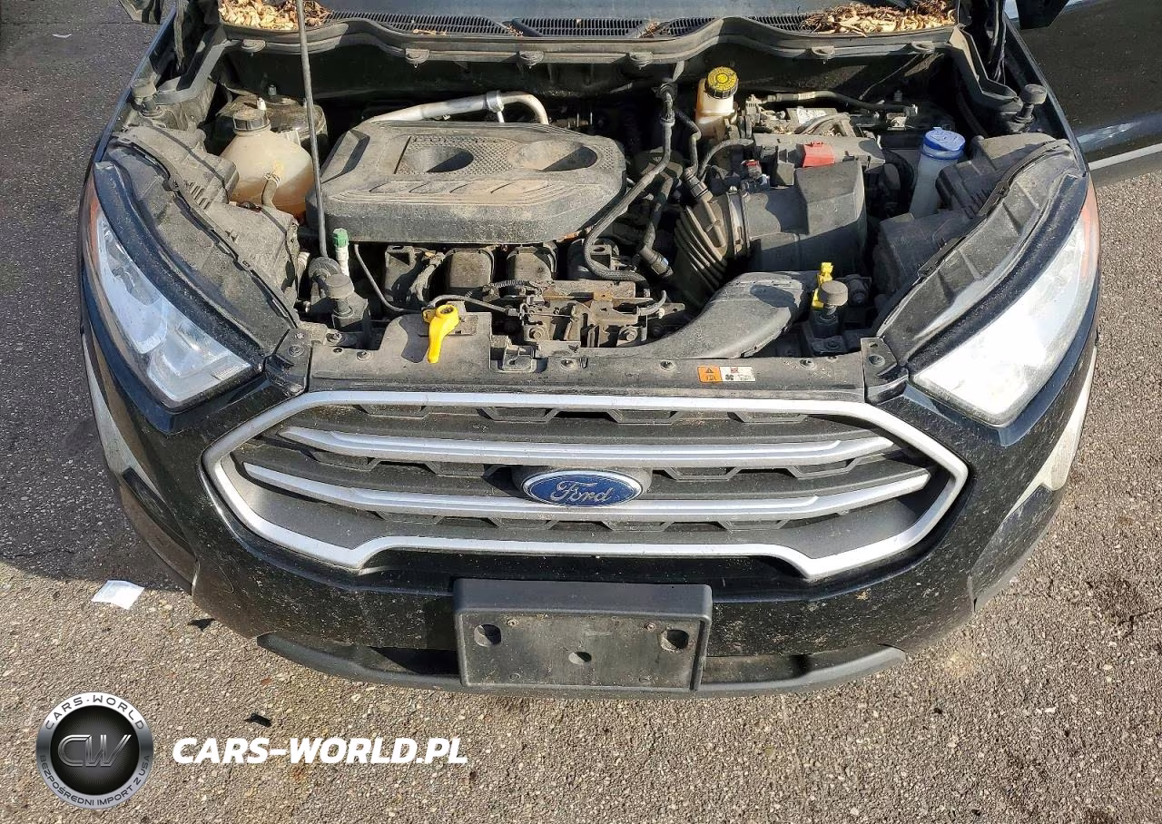 2019 Ford Ecosport VIN:MAJ6S3GL4KC305658 - 12