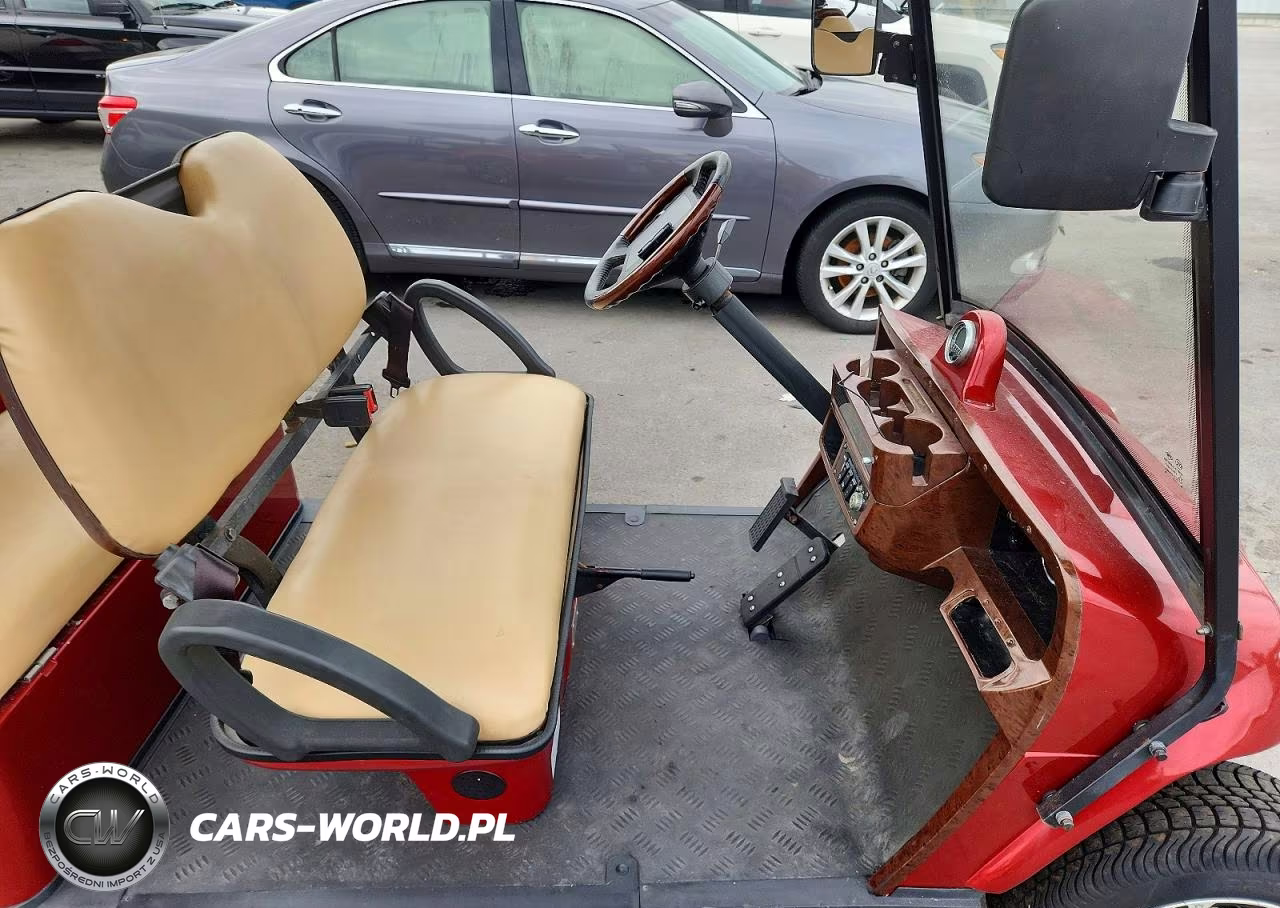 2018 Bintelli Golf Cart VIN:1G9BA211XKC411129 - 5