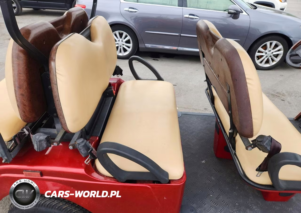 2018 Bintelli Golf Cart VIN:1G9BA211XKC411129 - 6