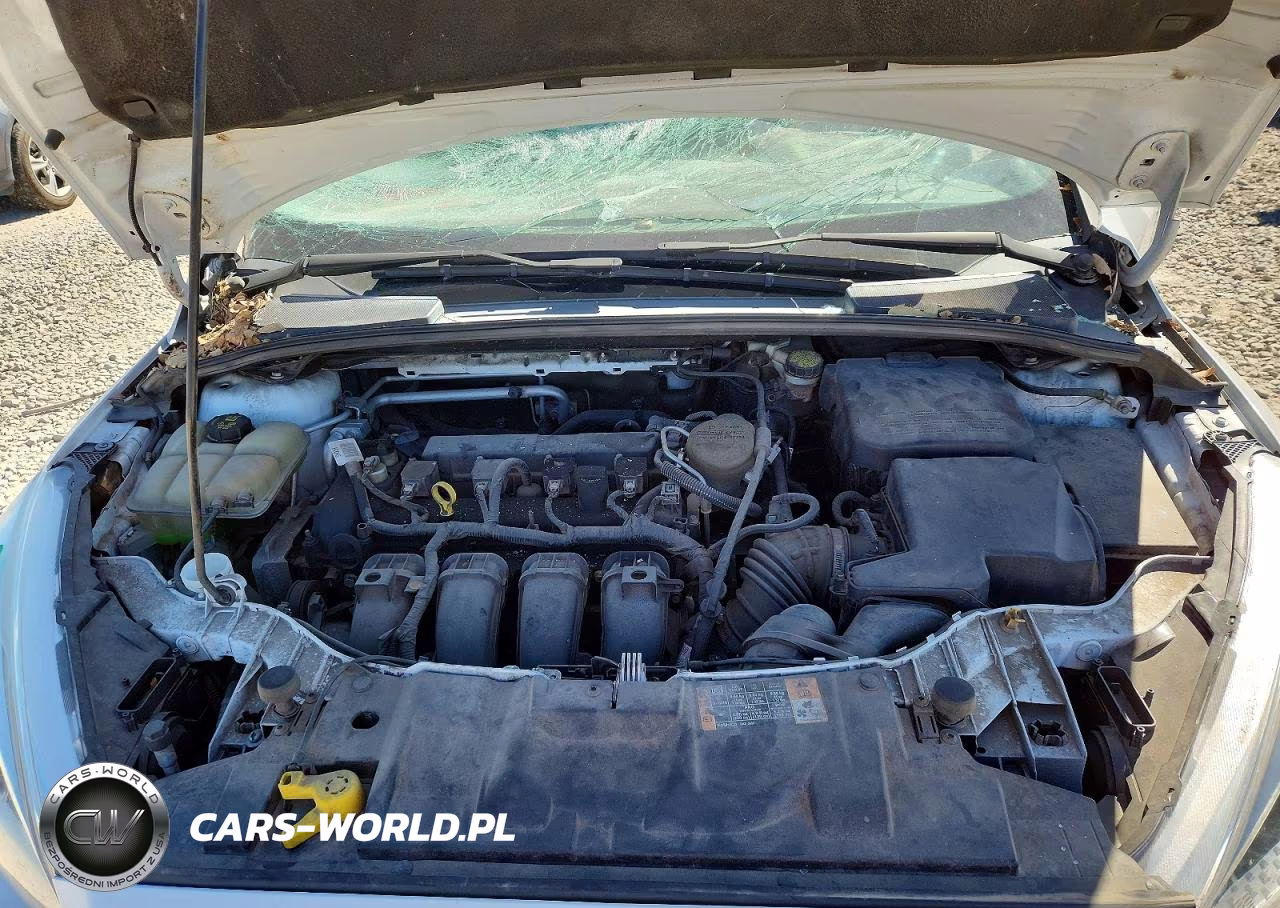 2016 Ford Focus Se VIN:1FADP3K20GL227488 - 11