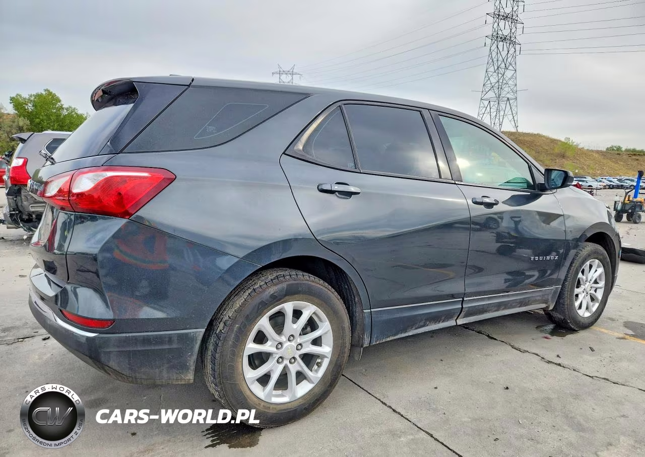 2018 Chevrolet Equinox Ls VIN:3GNAXHEV9JL102525 - 3