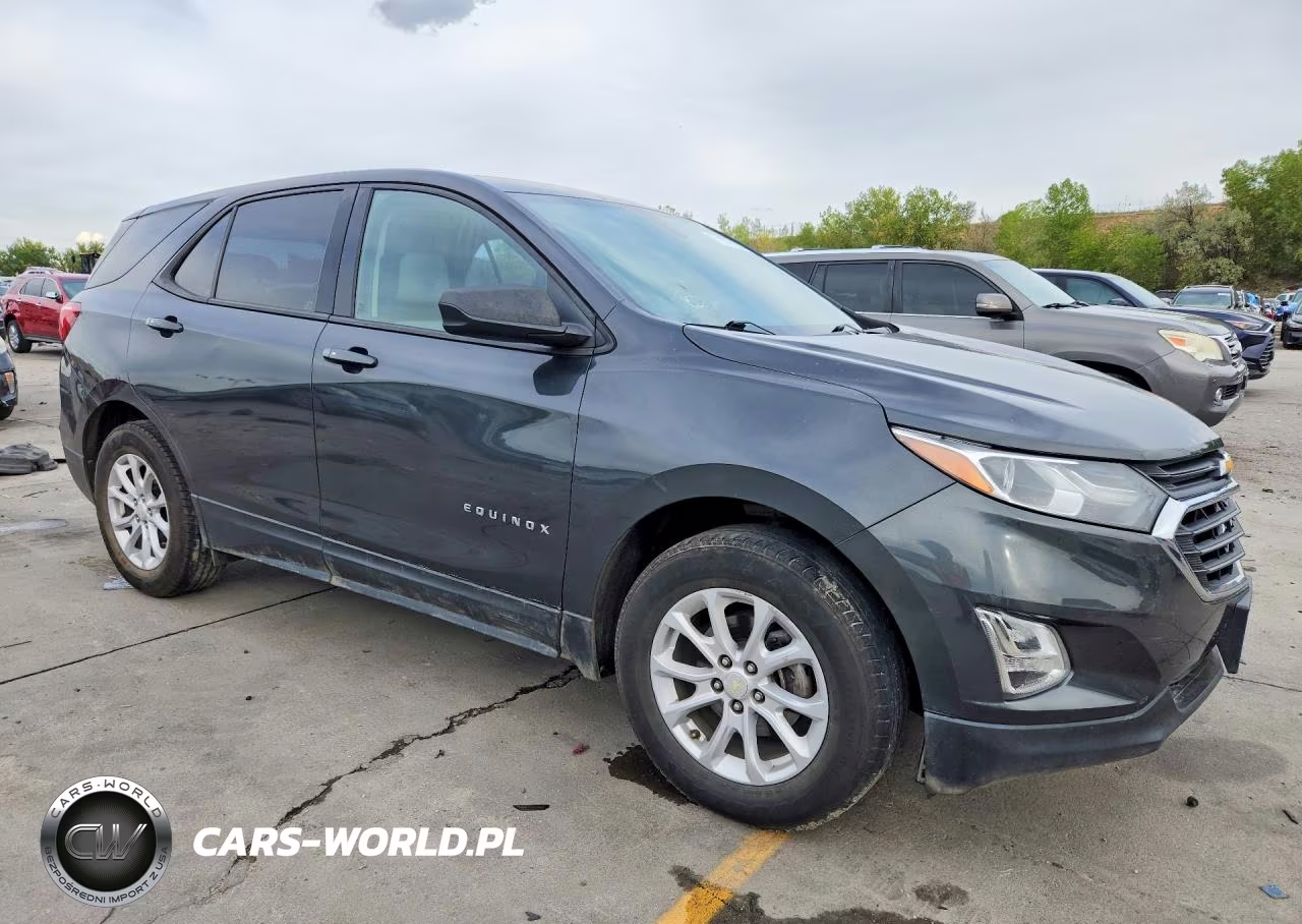 2018 Chevrolet Equinox Ls VIN:3GNAXHEV9JL102525 - 4