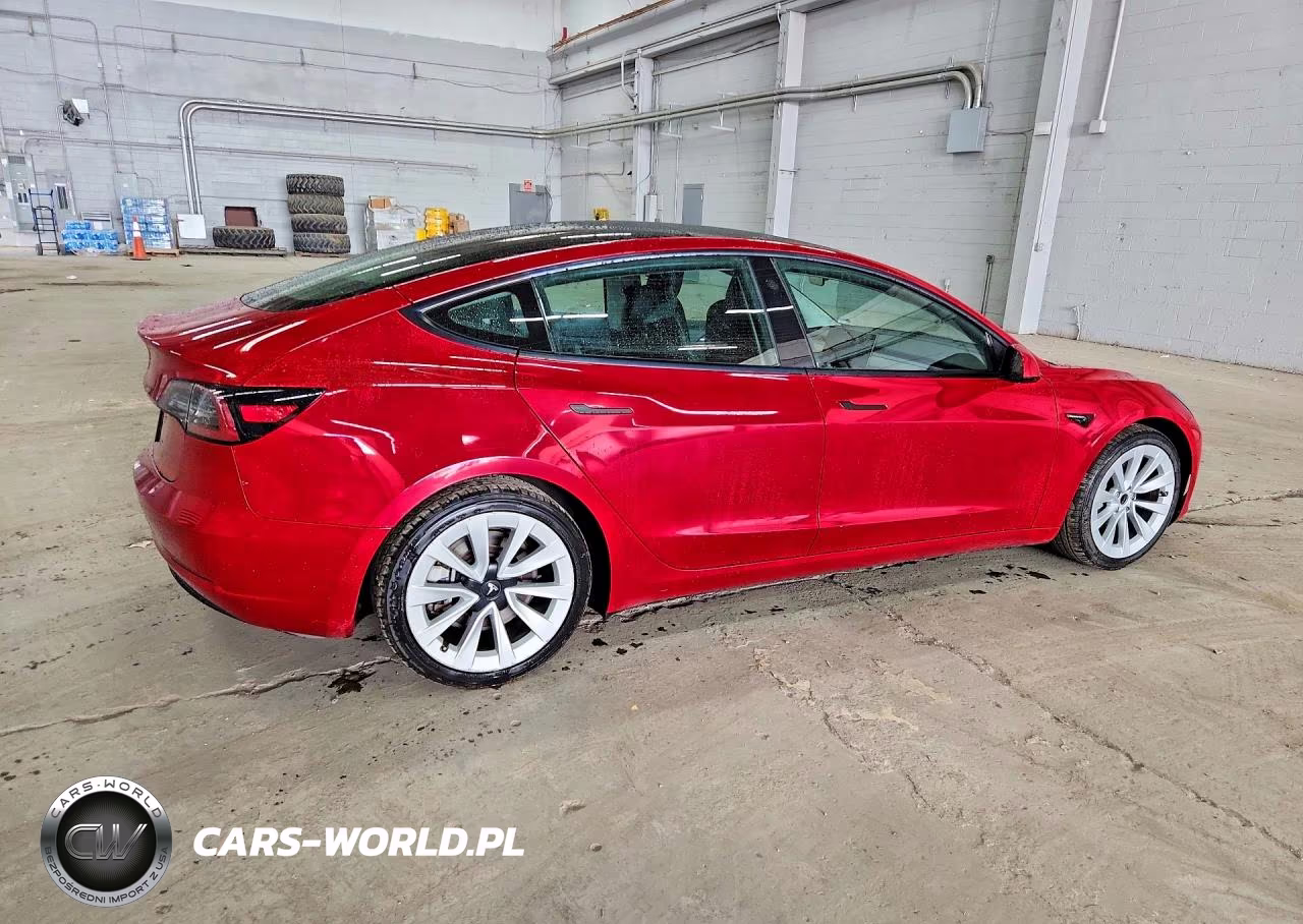 2023 Tesla Model 3 VIN:5YJ3E1EA7PF439097 - 3