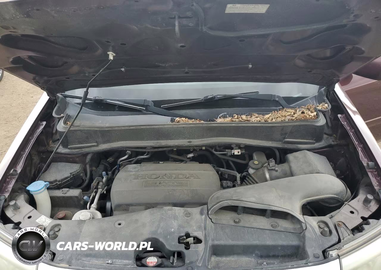 2011 Honda Pilot Exl VIN:5FNYF4H57BB080085 - 12
