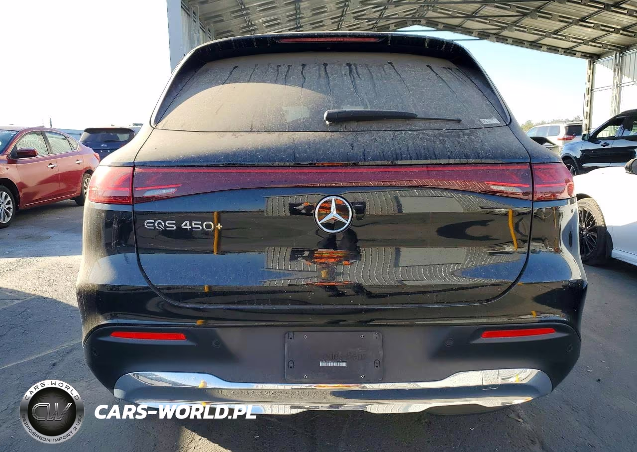 2023 Mercedes-Benz Eqs Suv 450+ VIN:4JGDM2DB6PA008388 - 6