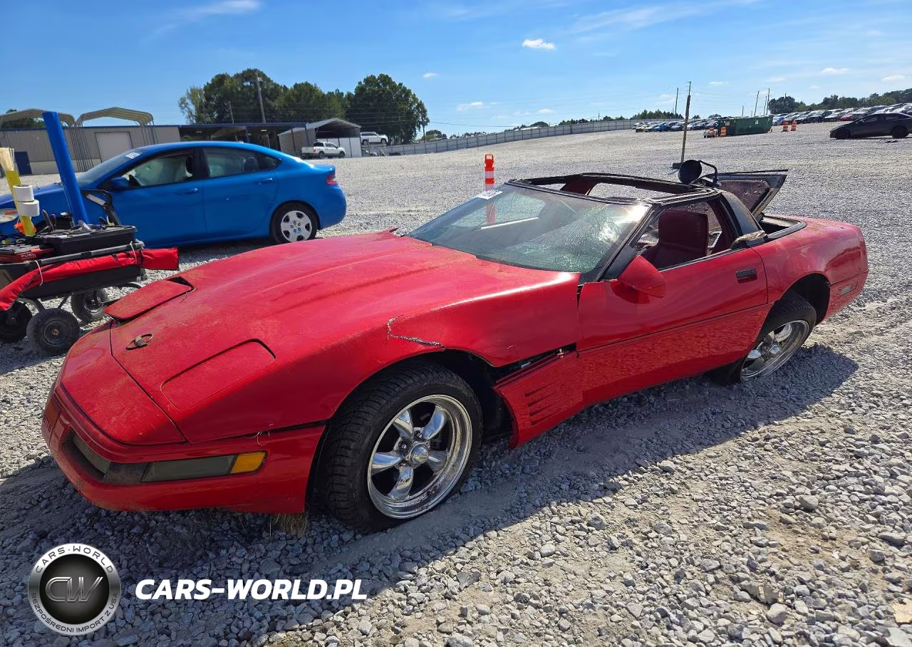 1991 Chevrolet Corvette VIN:1G1YY2388M5106710 - 1