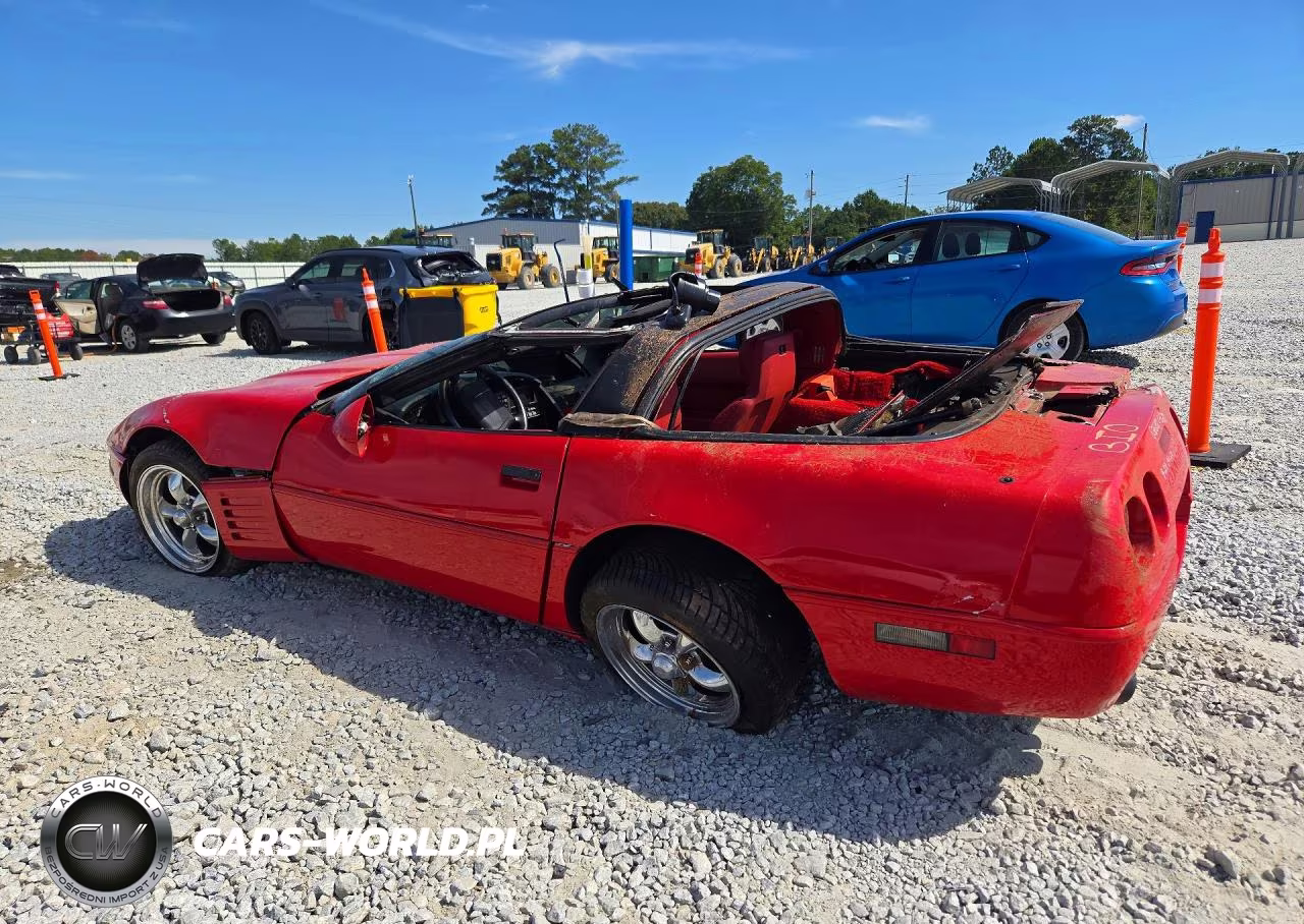 1991 Chevrolet Corvette VIN:1G1YY2388M5106710 - 2