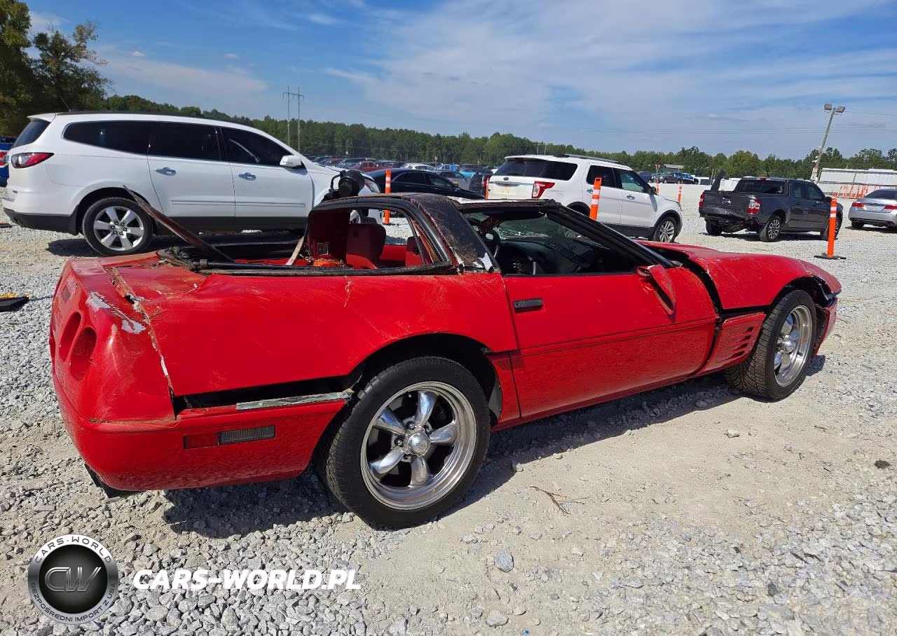 1991 Chevrolet Corvette VIN:1G1YY2388M5106710 - 3