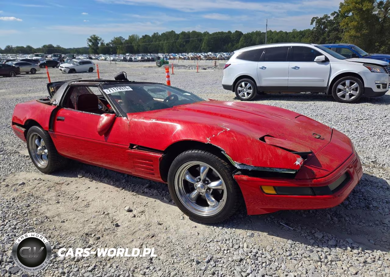 1991 Chevrolet Corvette VIN:1G1YY2388M5106710 - 4