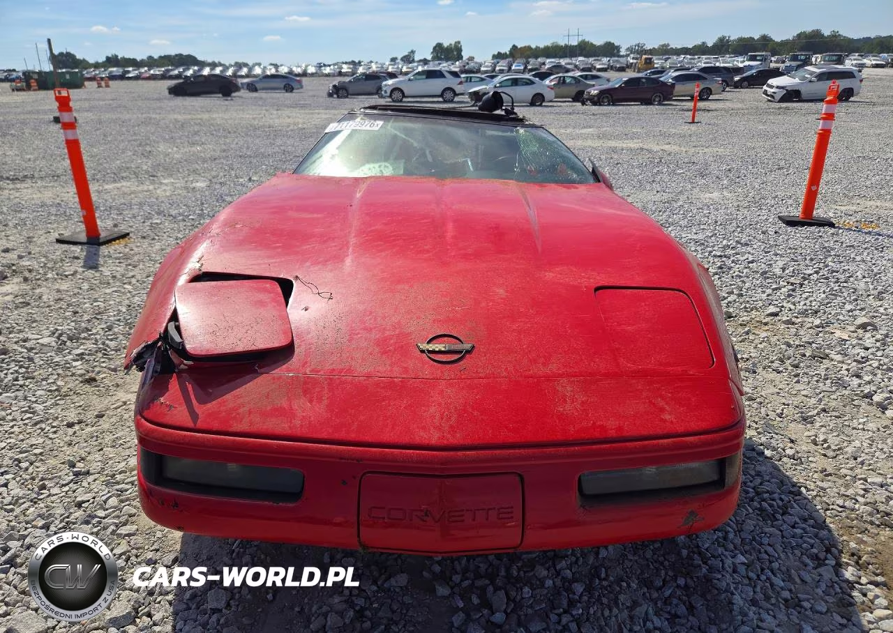 1991 Chevrolet Corvette VIN:1G1YY2388M5106710 - 5